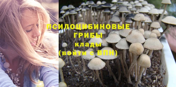 прущая мука Осташков