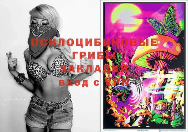 прущая мука Осташков