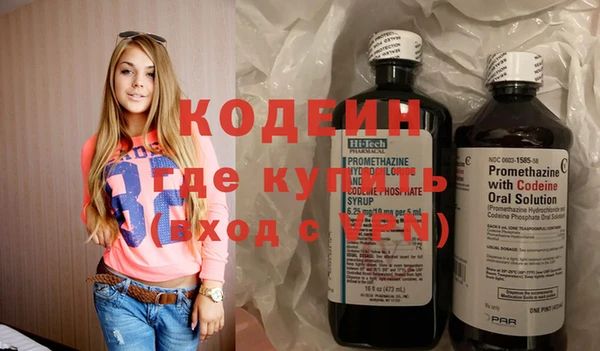 индика Дегтярск