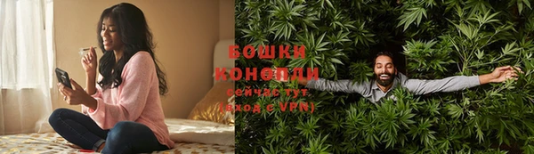 spice Осинники